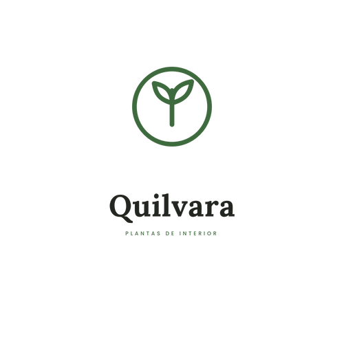 Quilvara