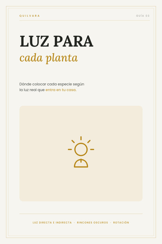 Ebook Luz para Cada Planta