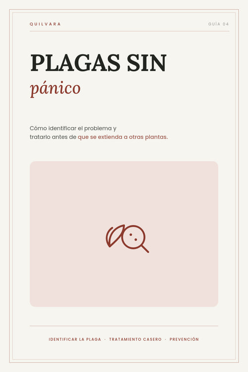 Ebook Plagas sin Pánico